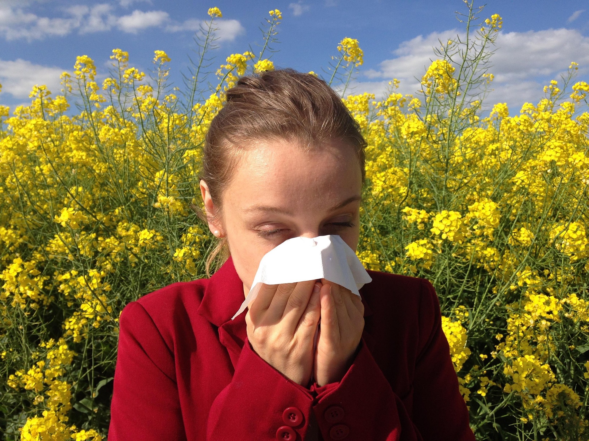 Allergie, intestino, microbiota e sistema immunitario