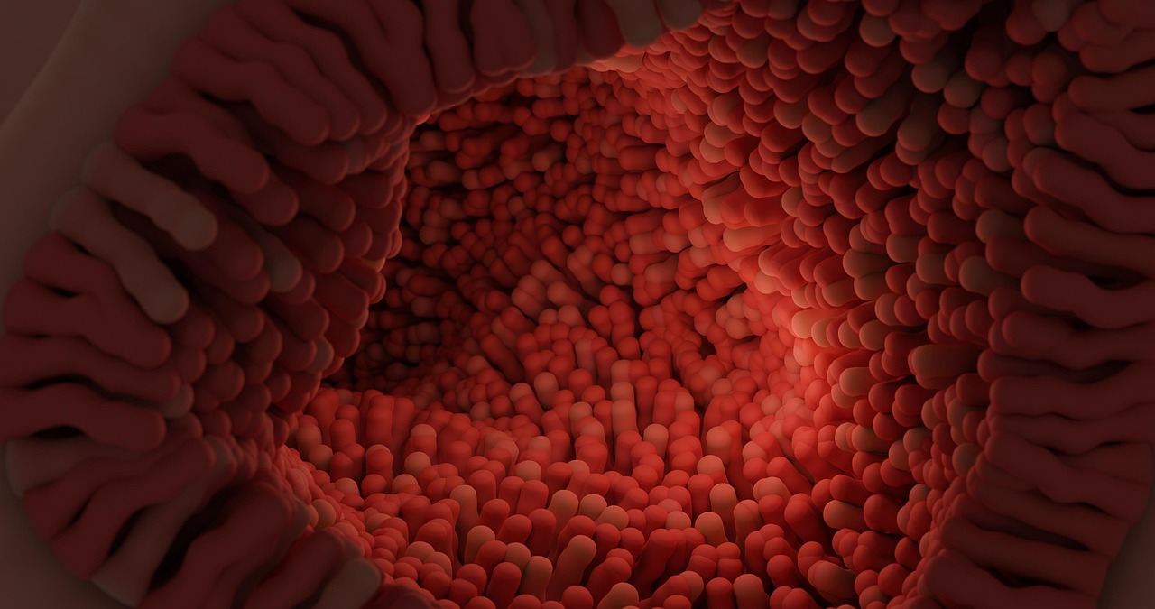 Microbiota intestinale